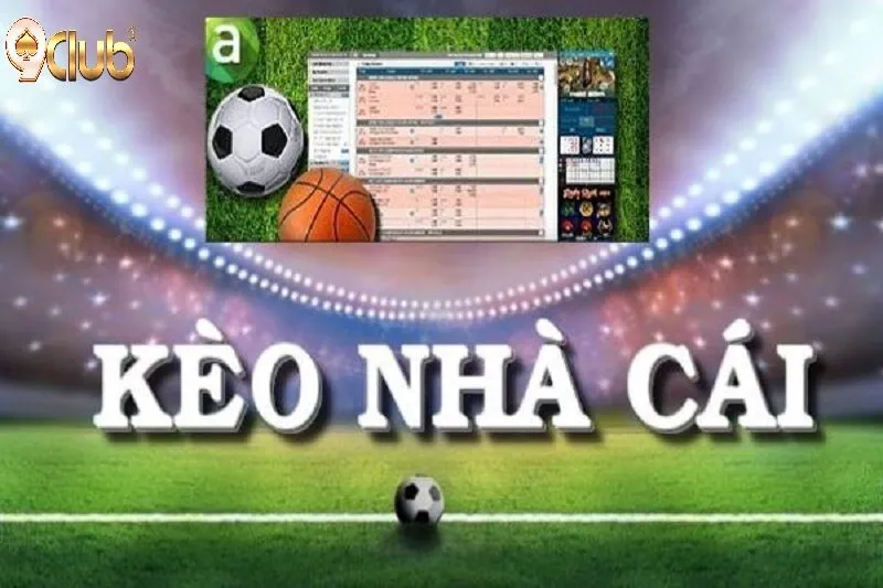 Phân tích chuyên sâu về Tỷ lệ kèo 9Club